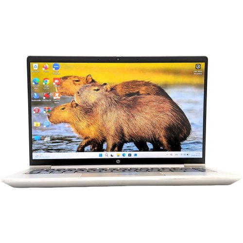 HP ProBook 445 G10/Ryzen3-7330U/16GB/256GB (Renoverad)